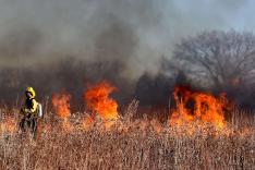 fires_2