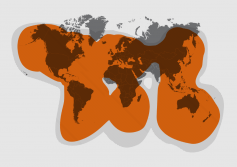 globalstar map